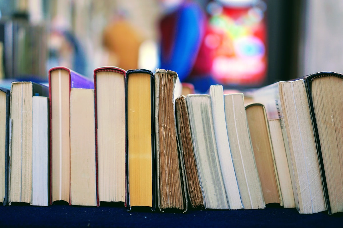 Close row of book page edges in soft natural light